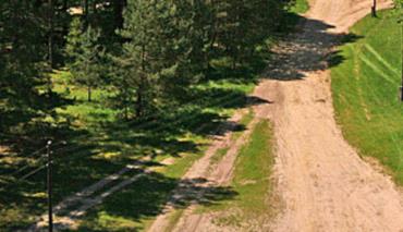 В двух районах Витебской области разрешили посещать лесные массивы 